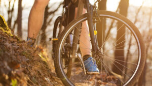 Image of bike wheel in the forest